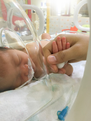 Patient new born baby in incubator. reducing NICU infections